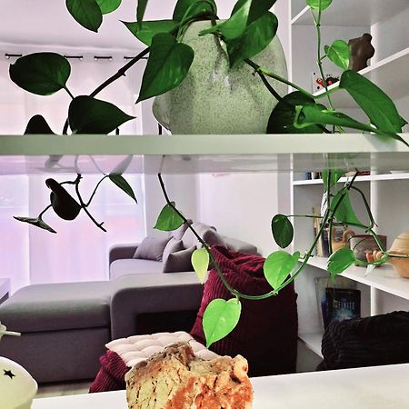Micasatucasa Tirana Apartment Екстериор снимка