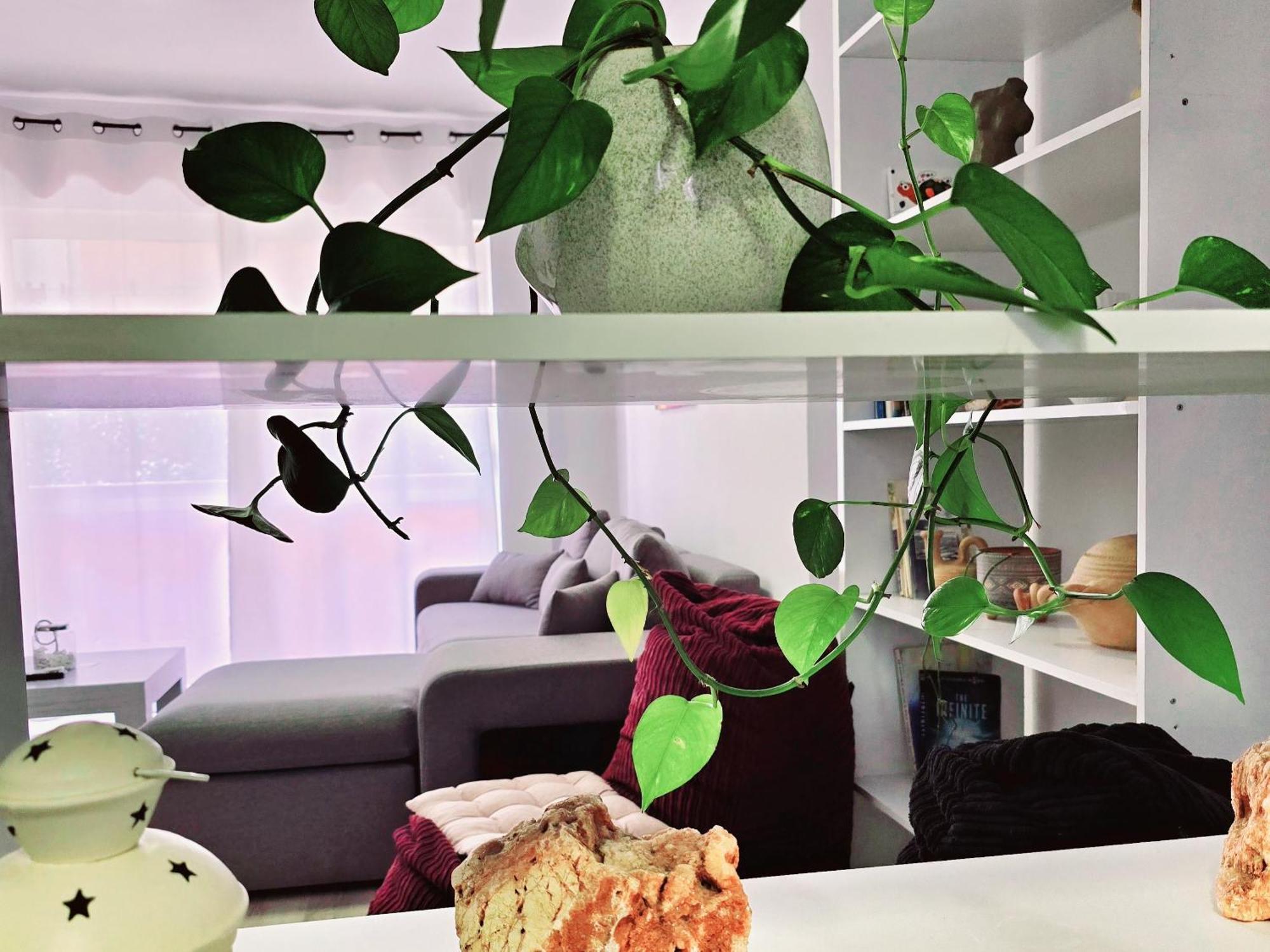 Micasatucasa Tirana Apartment Екстериор снимка